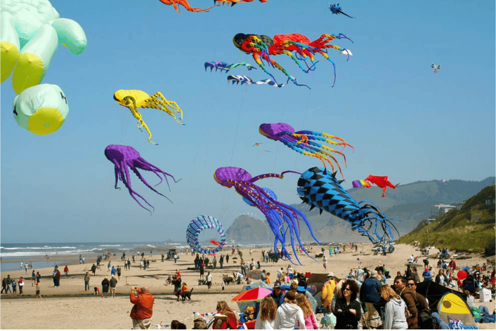 Lincoln City Kite Festival on the beach near Hart's Camp
