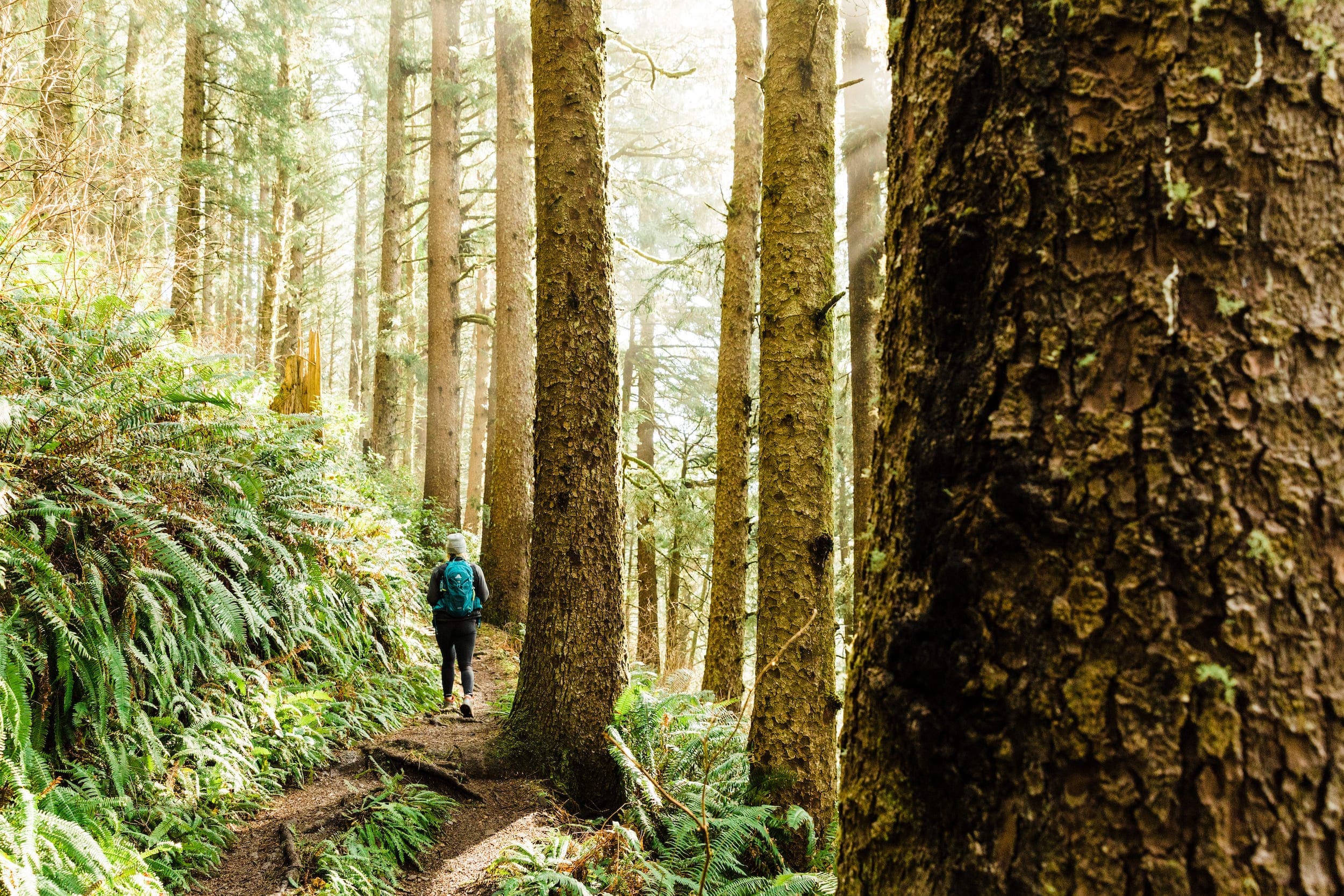 A person hiking the PC Pathways on the Oregon Coast