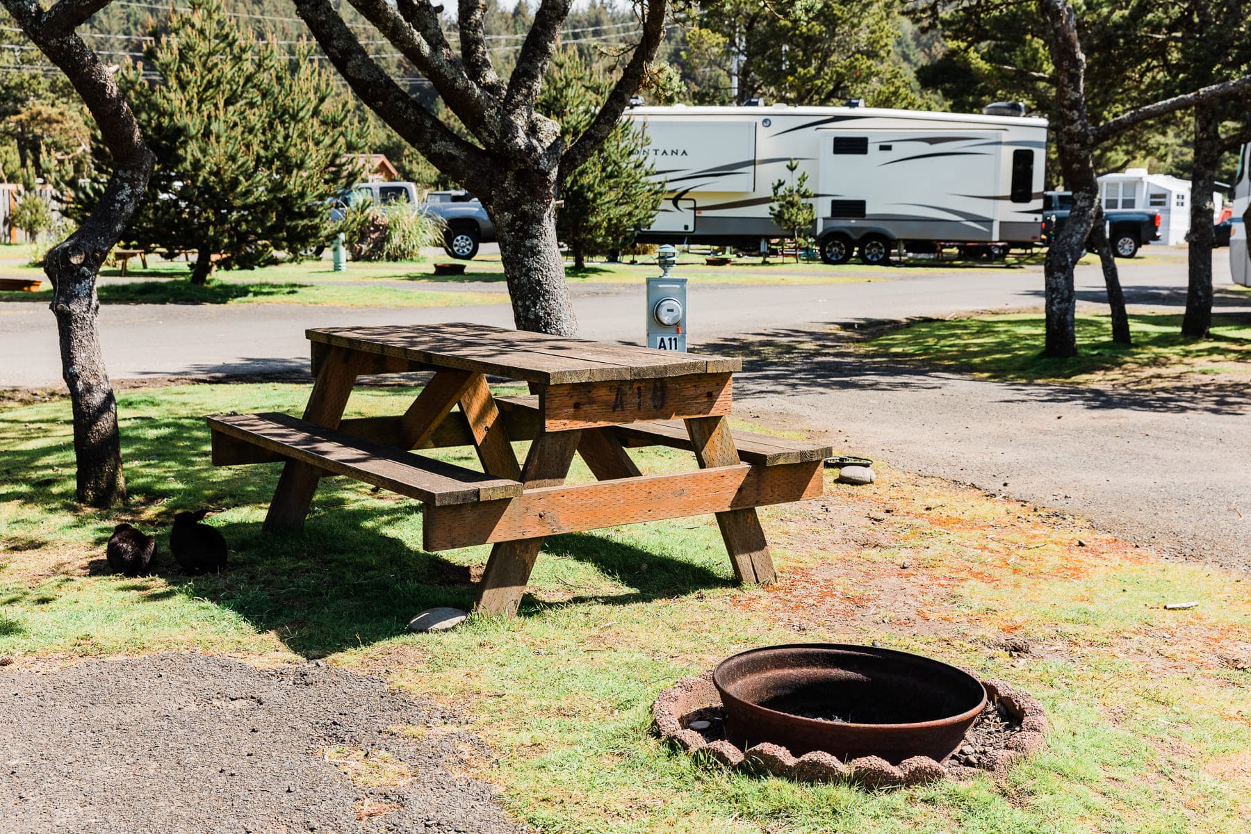 A picnic table and fire pit on a lot at Harts Camp Campground