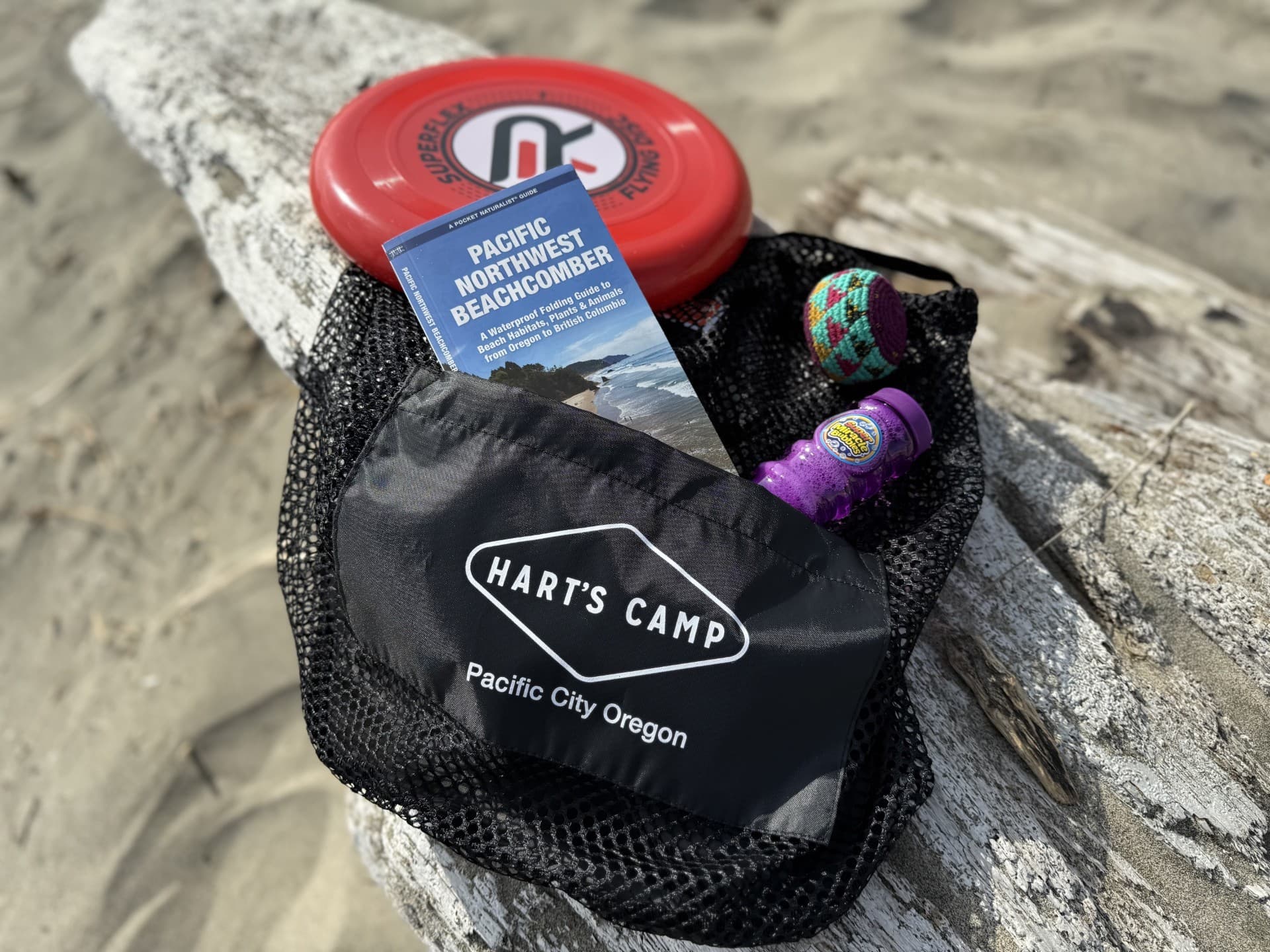 A games bag with a Frisbee, Hacky sac , Beachcomber guide and bubbles sitting on a piece of drift wood on the beach at cape Kiwanda