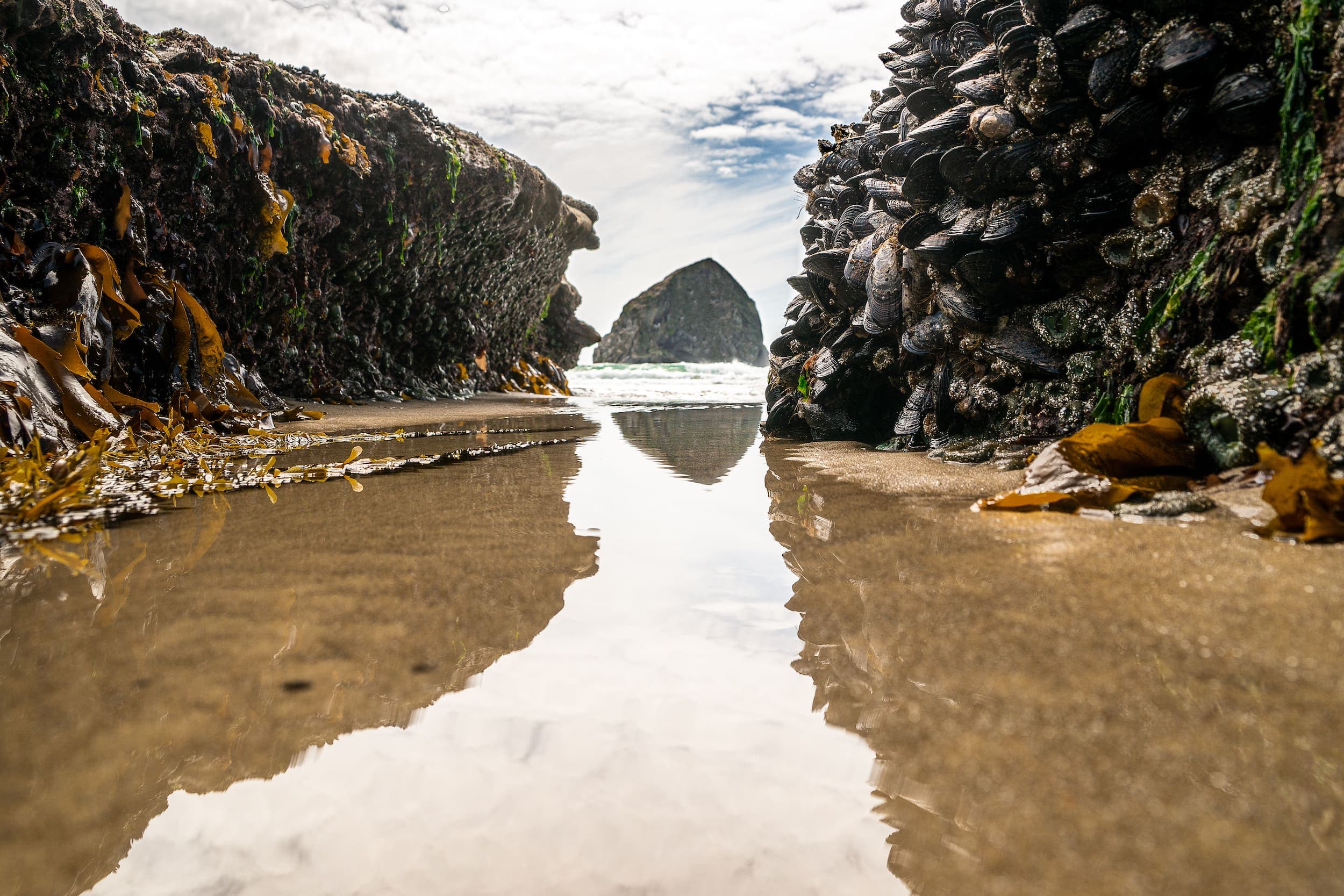 Haystack Rock as seen from the Pacific City Tidepools