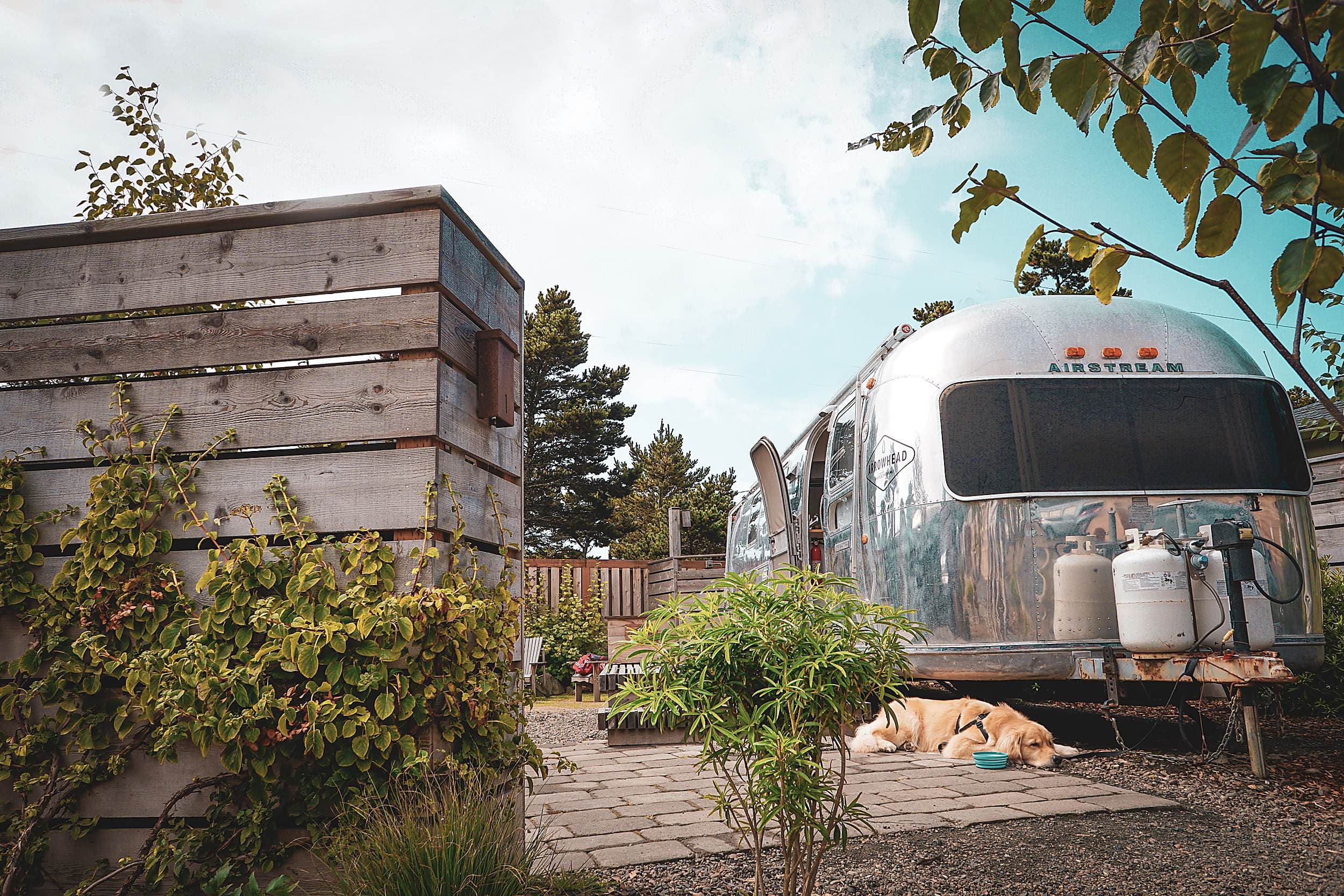 Golden retriever resting beside a vintage Airstream trailer at The Inn at Hart's Camp, a pet-friendly glamping retreat in Pacific City on the Oregon Coast.