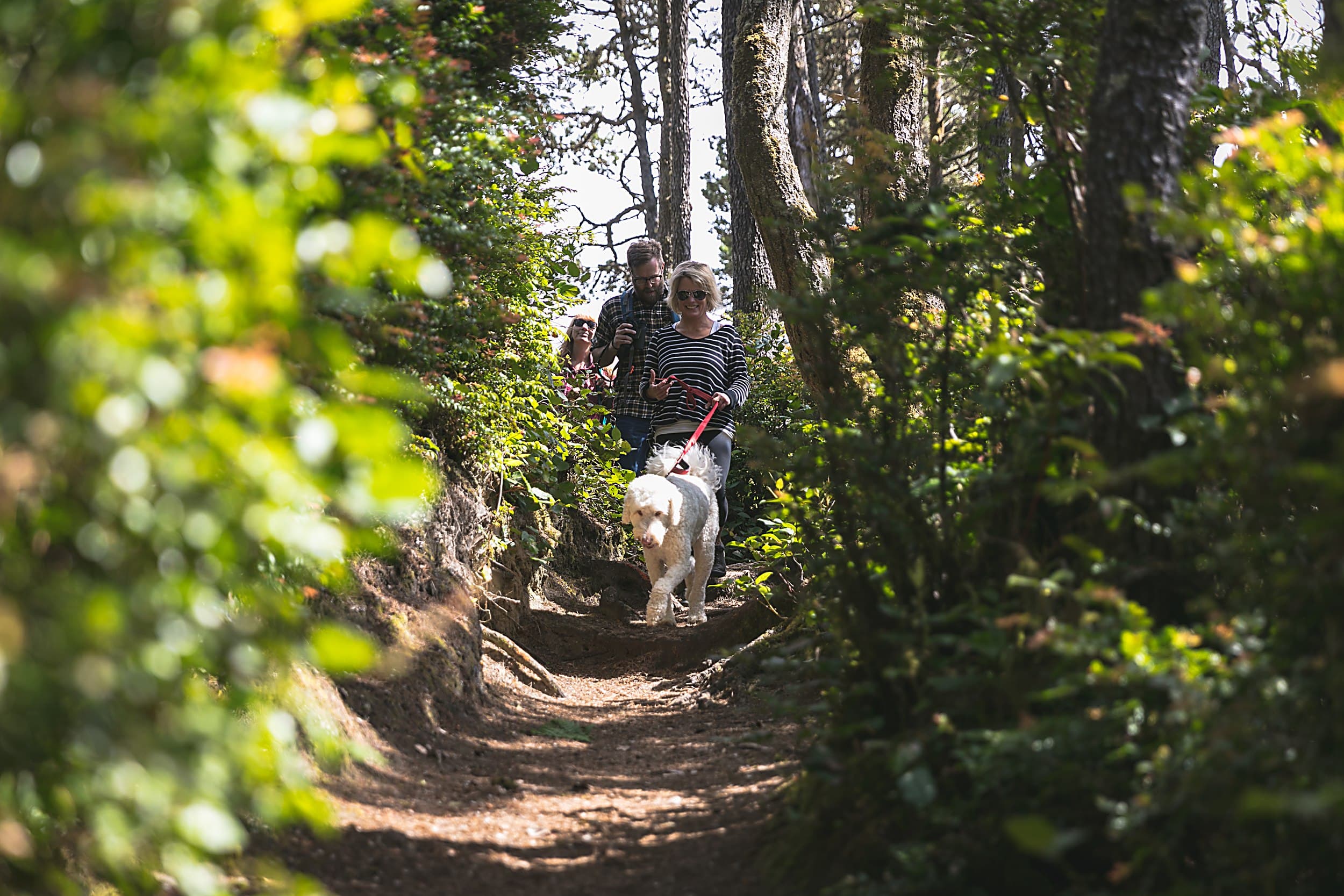 Family hiking a sun-dappled coastal trail with their leashed doodle near The Inn at Hart's Camp in Pacific City, Oregon