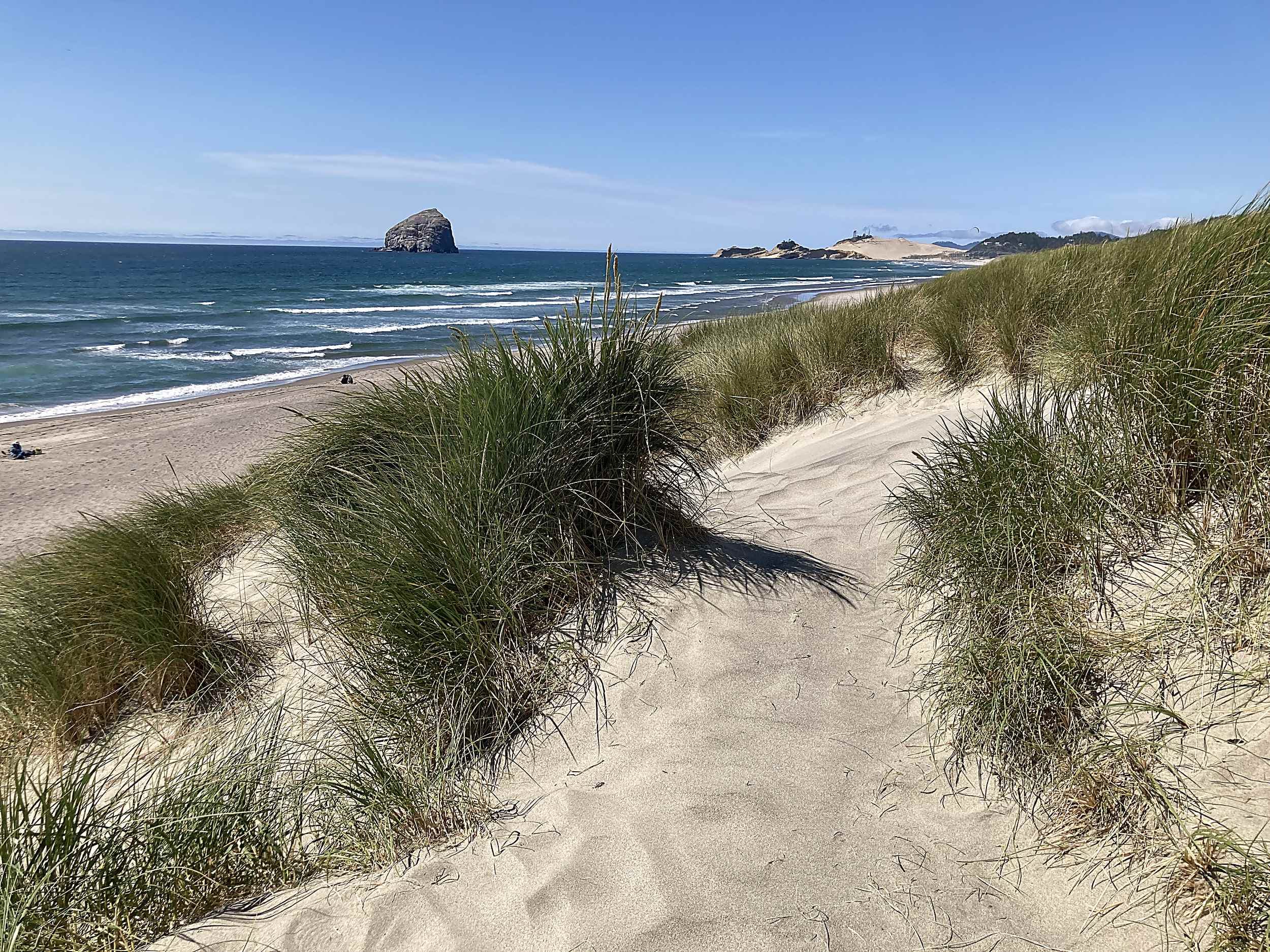 Sandy dune path winding through beach grass toward Pacific City's Haystack Rock, just steps from The Inn at Hart's Camp on the Oregon Coast