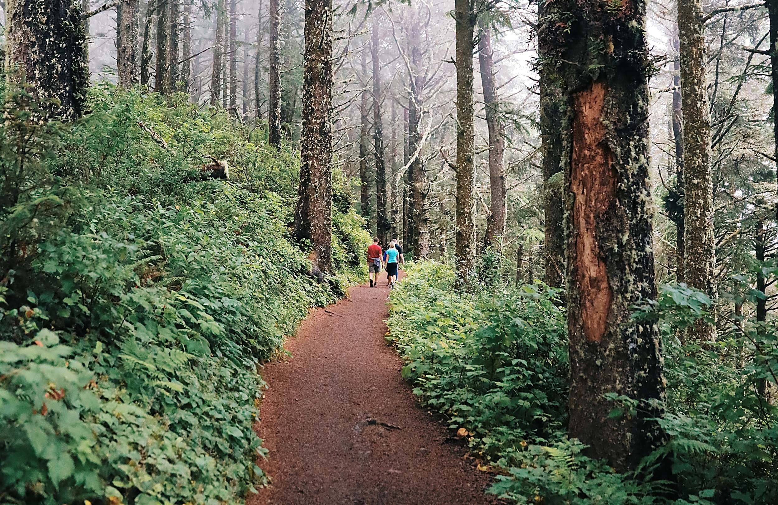 Hikers on a misty coastal forest trail among moss-draped evergreens near The Inn at Hart's Camp in Pacific City, Oregon