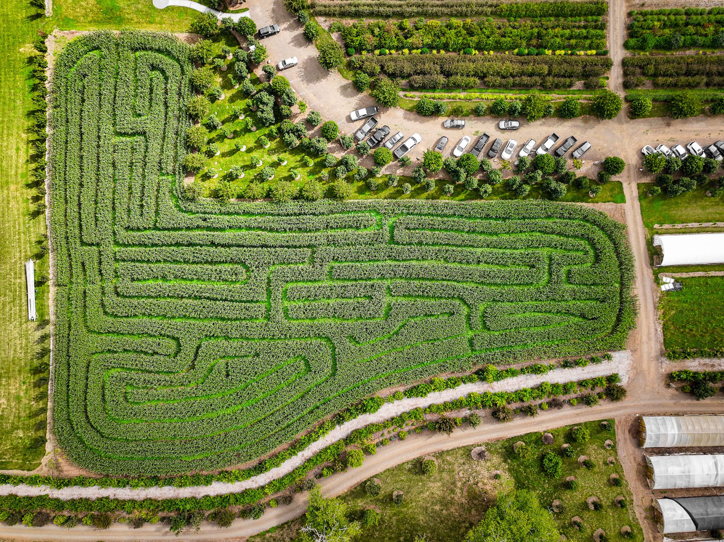 Kilchis River Pumpkin Patch Aerial Maze