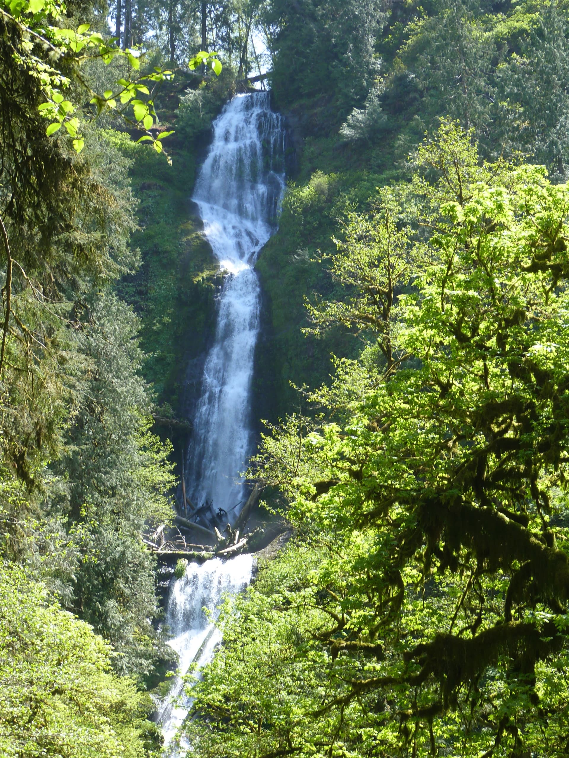 Munson Creek Falls 2 Munson Creek Falls SNS Oregon