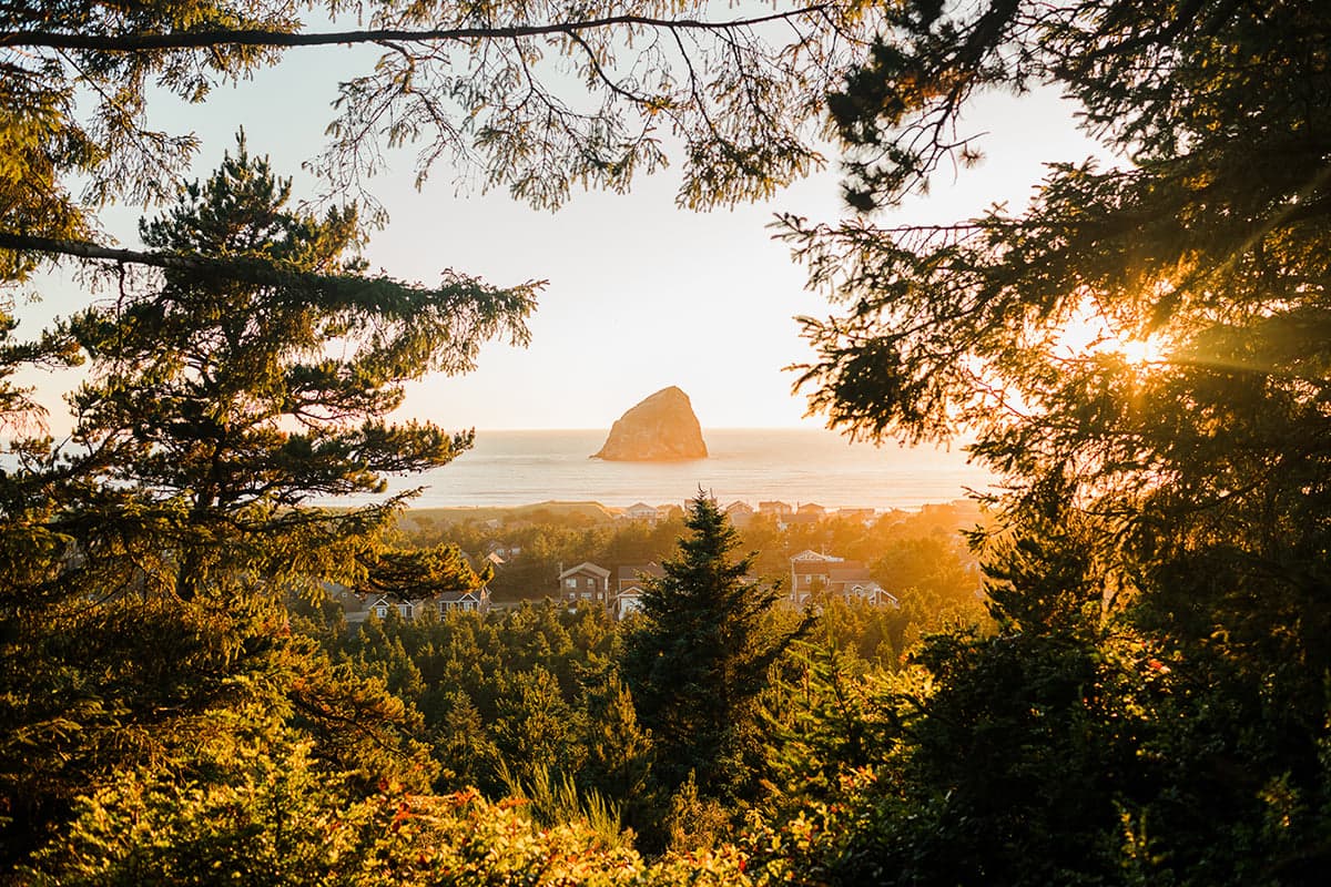 The view from the Pacific City Trail