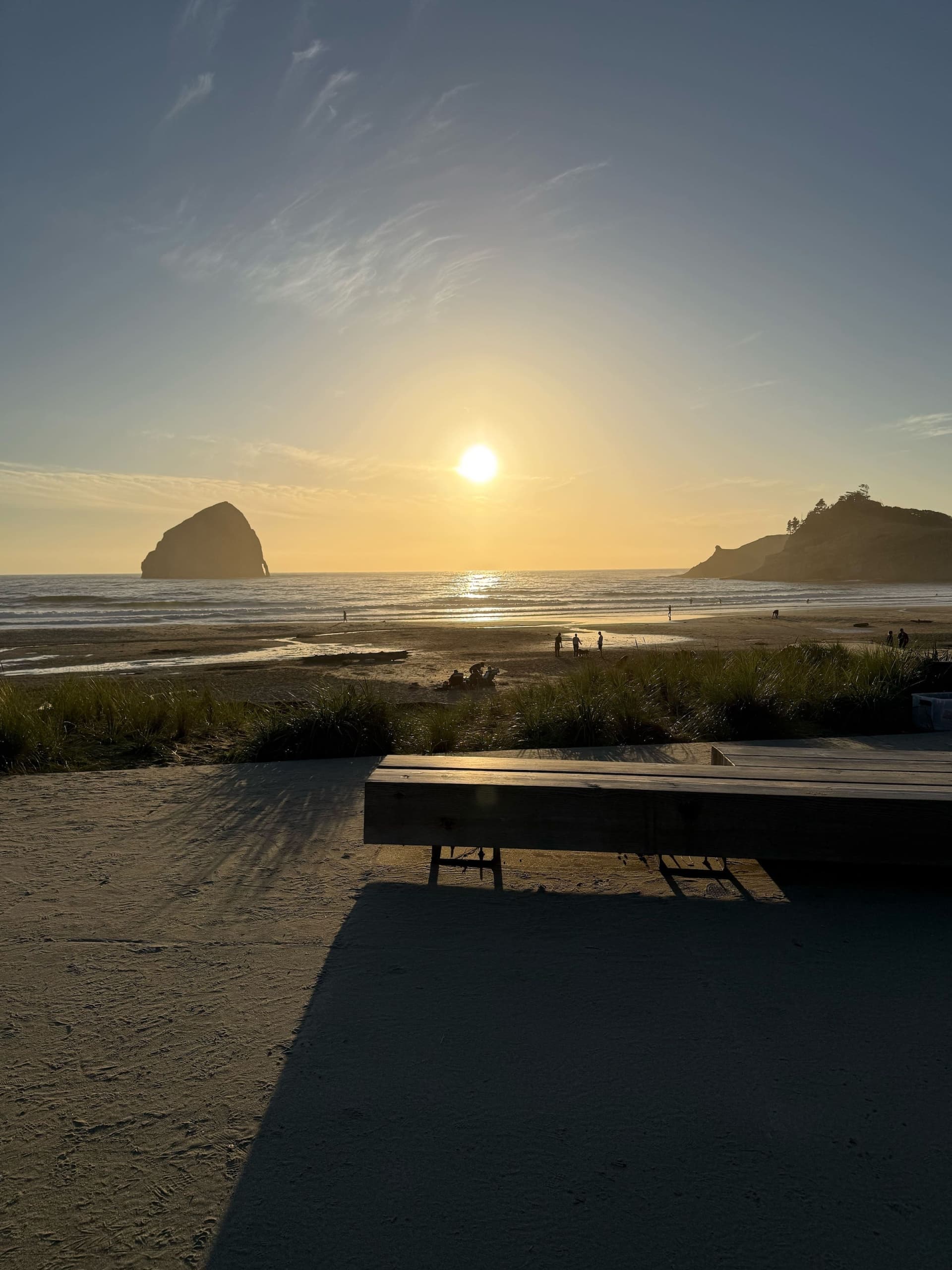 A bench looking onto the beach at Cape Kiwanda