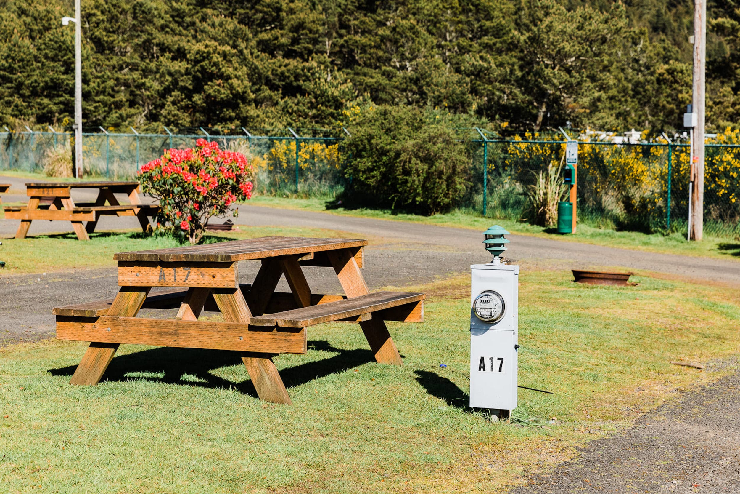 Hart's Camp RV camp site