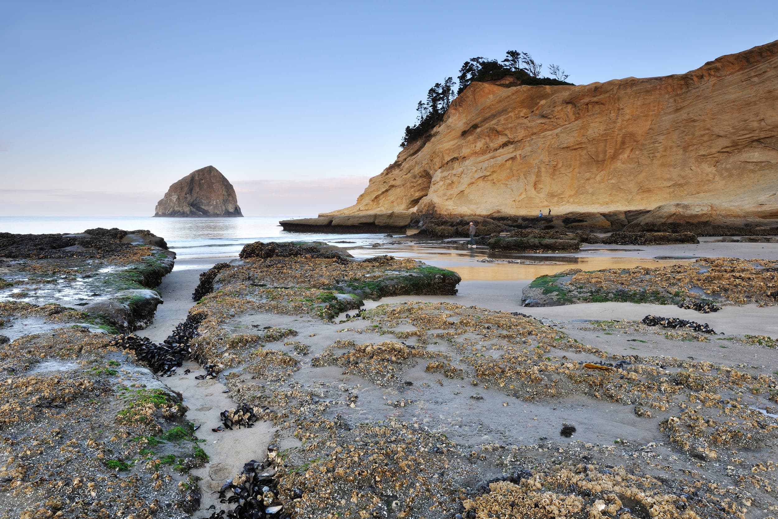 The ocean floor when the tide is low with a few people walking around on it