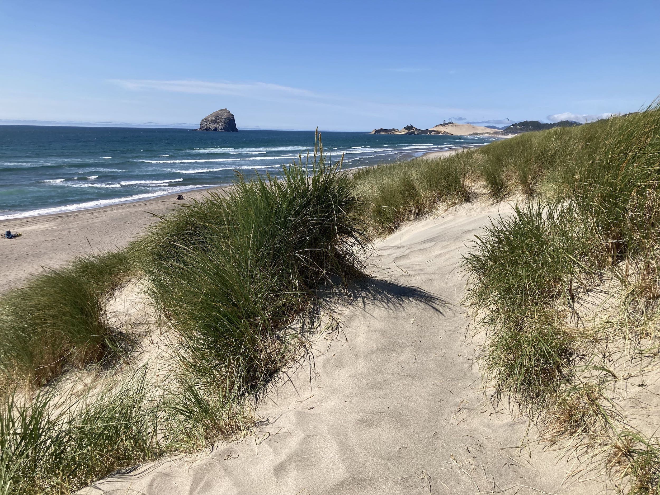 The at Bob Straub State Park On the Pacific coast