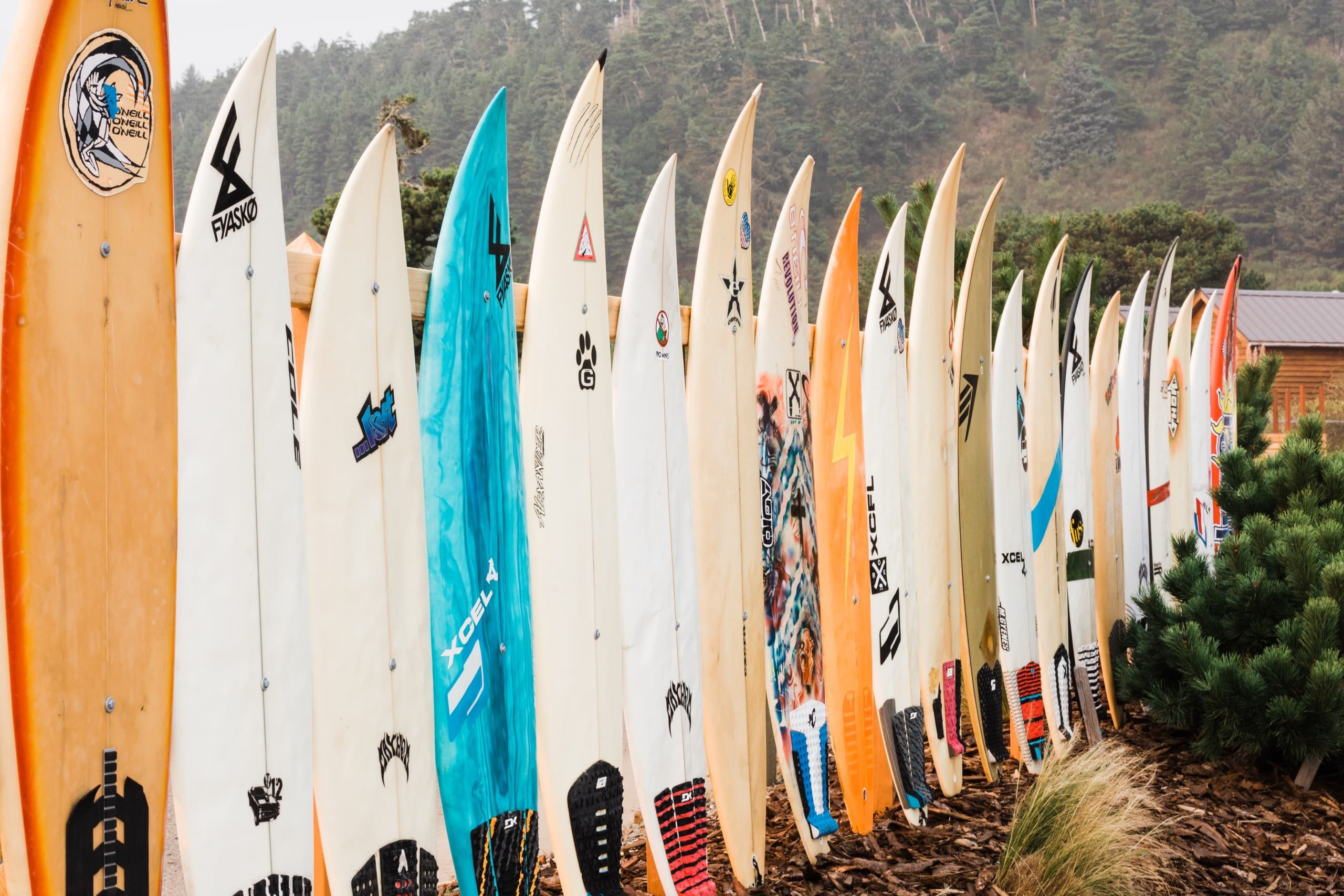 Surf Boards