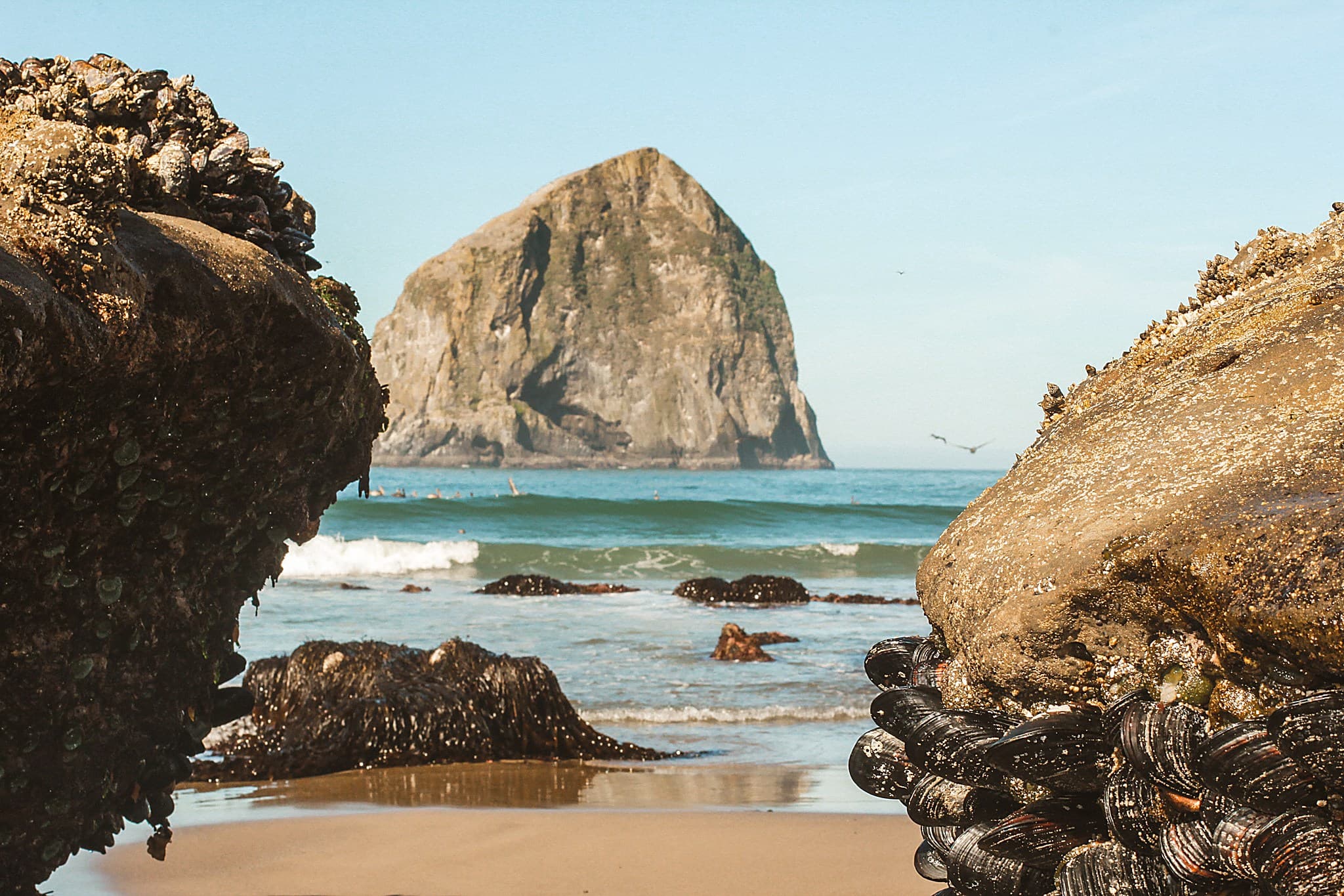 Mussel-covered tide pool rocks framing Haystack Rock at Cape Kiwanda Beach, a short walk from The Inn at Hart's Camp in Pacific City, Oregon.