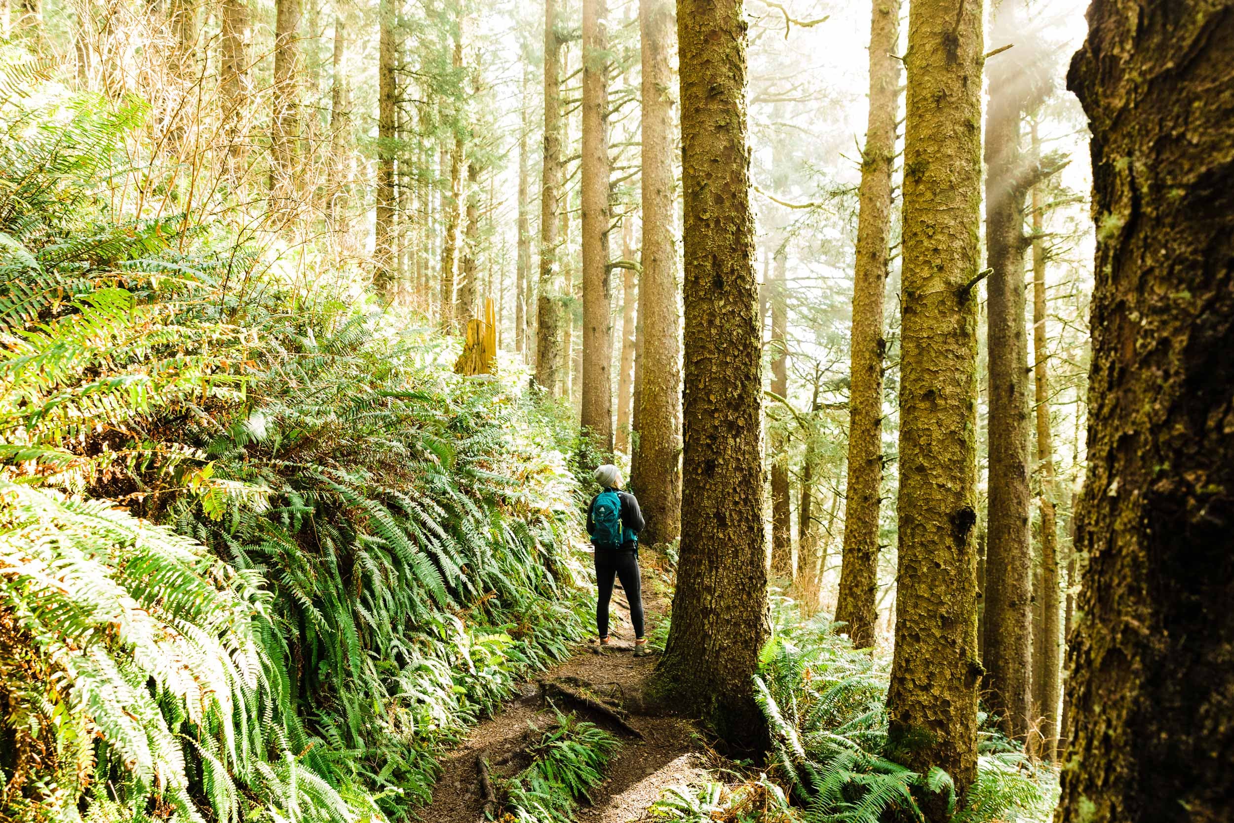 A person hiking the PC Pathways on the Oregon Coast