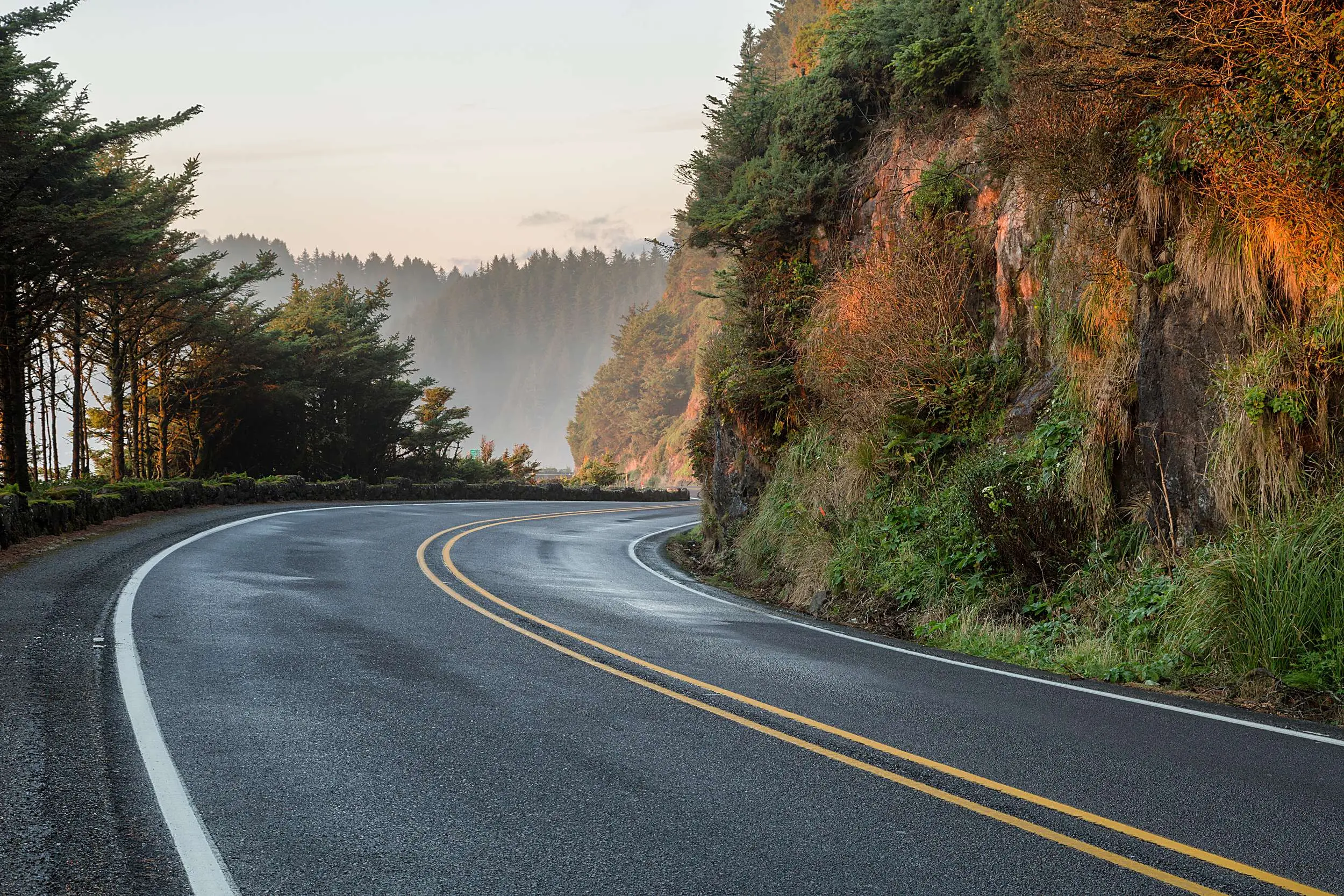 Curving coastal highway lined with evergreens and misty forest along the Oregon Coast